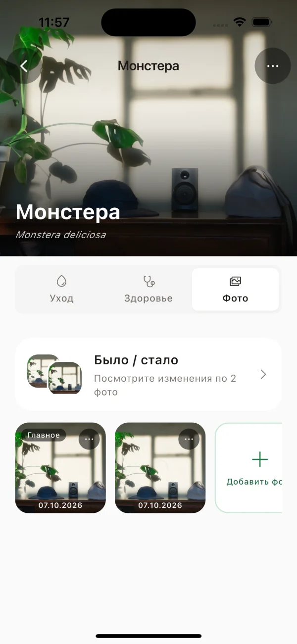 Карточка монстеры в InPlant: фотографии растения и переход к сравнению снимков